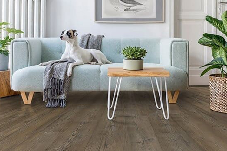 PVC Flooring V.S. Vinyl Flooring